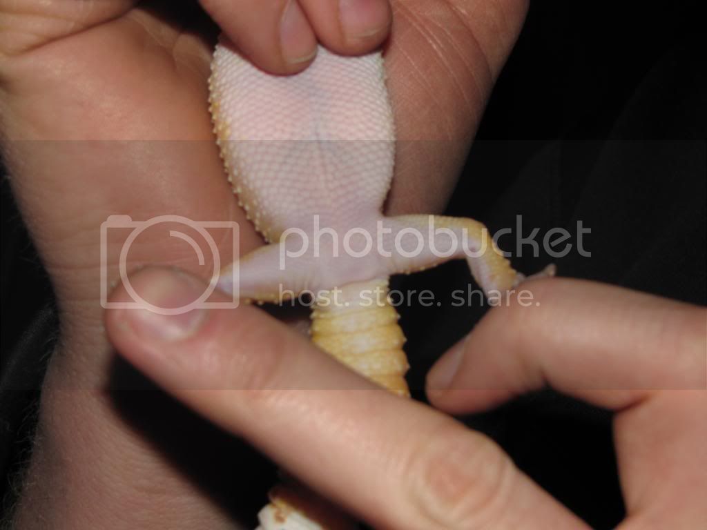 IMG_2694_zpsc7cb0978.jpg