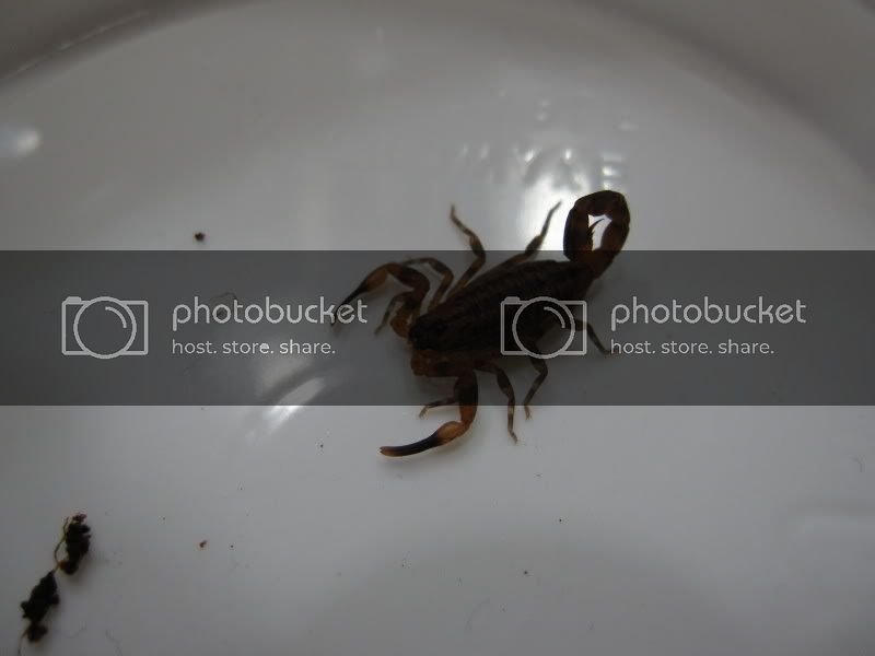 IMG_0079.jpg