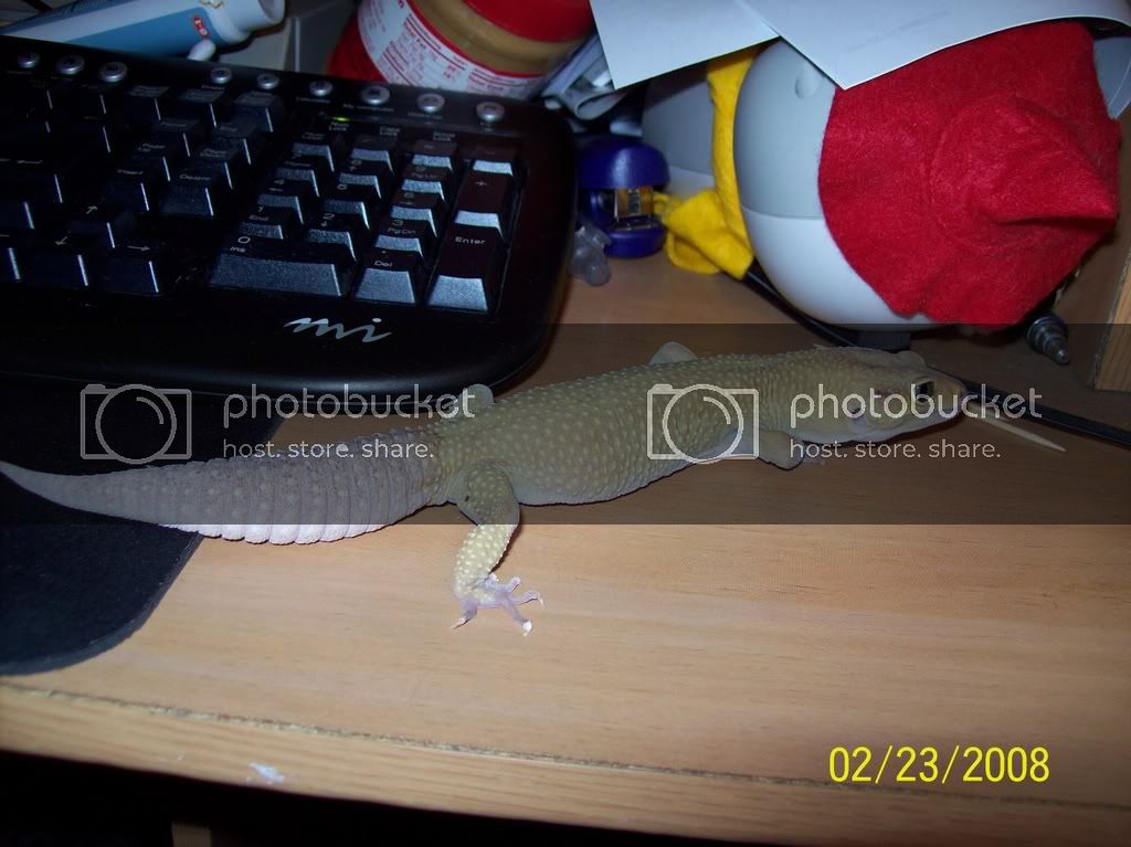 Picture001.jpg
