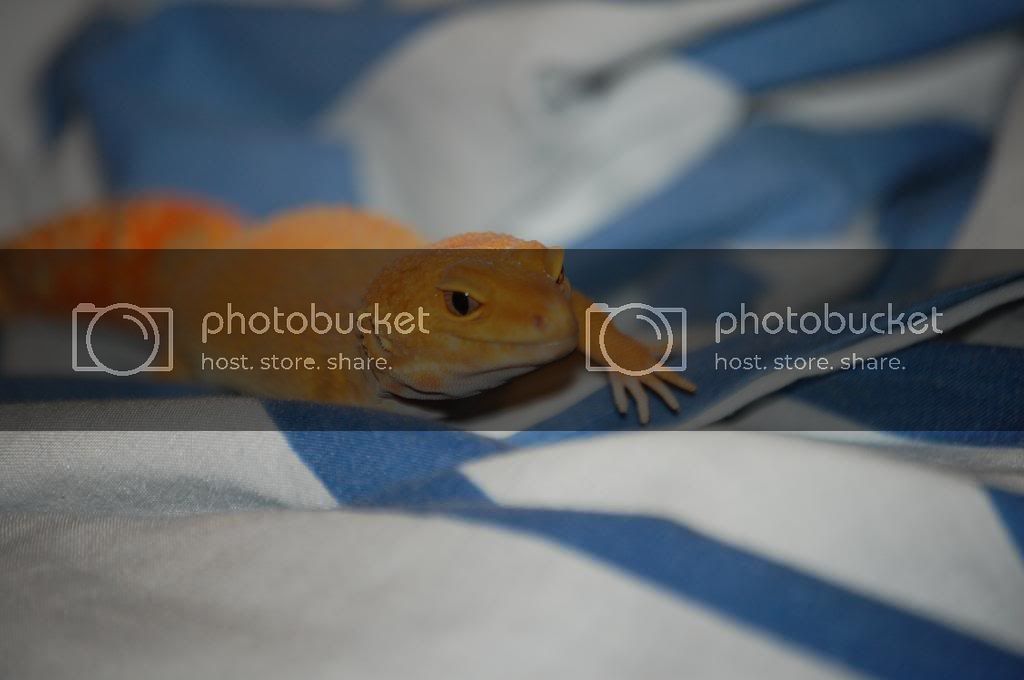 DSC_0023.jpg