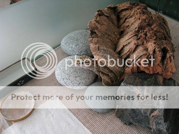 Bubu0331_01.jpg