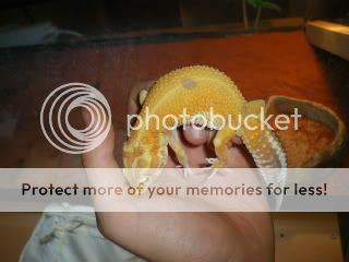 eubleother004.jpg