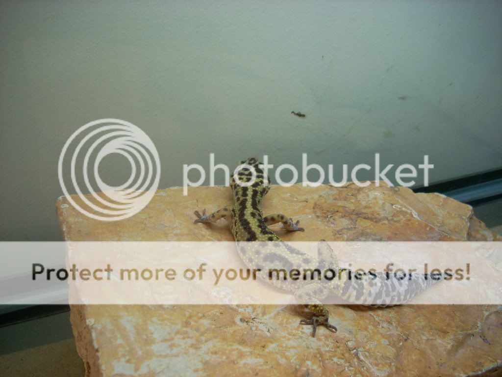 DSCN0015.jpg