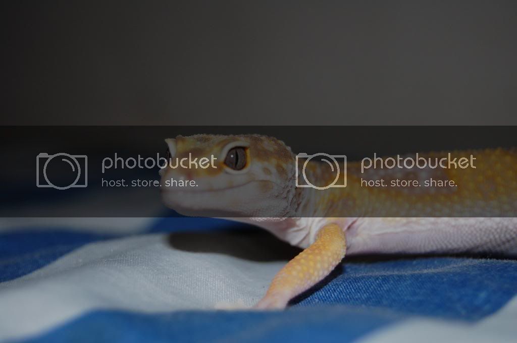 DSC_0067.jpg