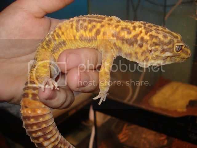 male3.jpg
