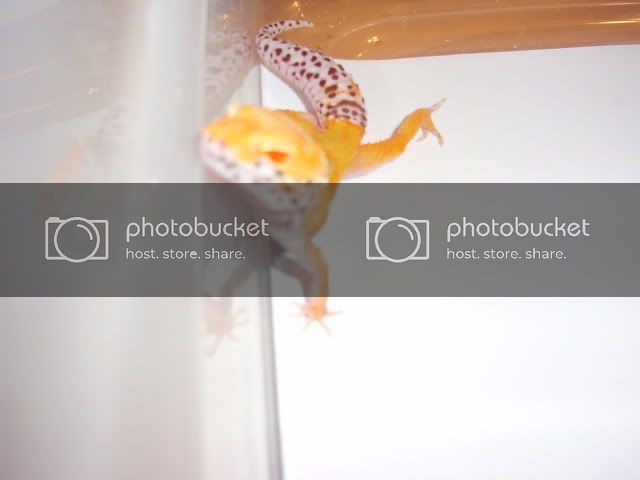 PICT0107.jpg