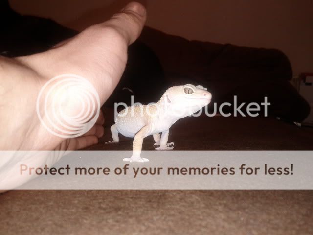 IMG_20111127_194855.jpg