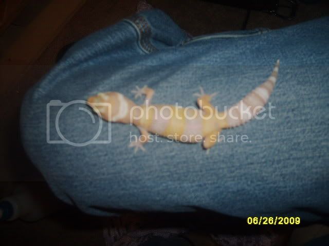 Picture693.jpg