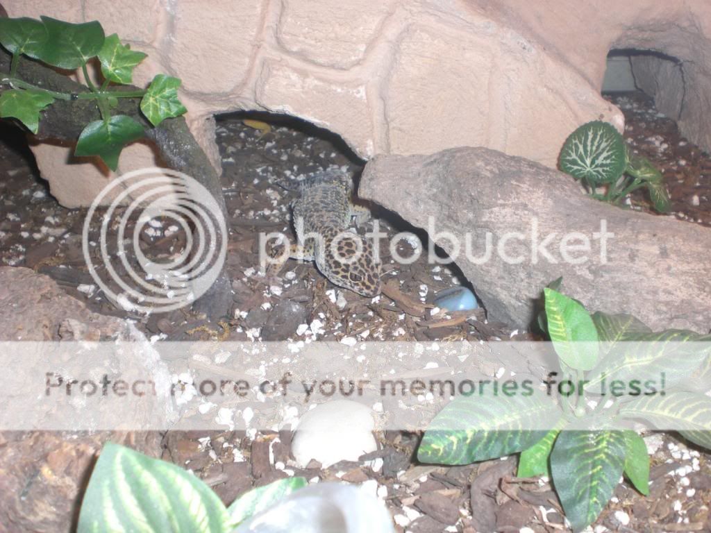 junepix012.jpg