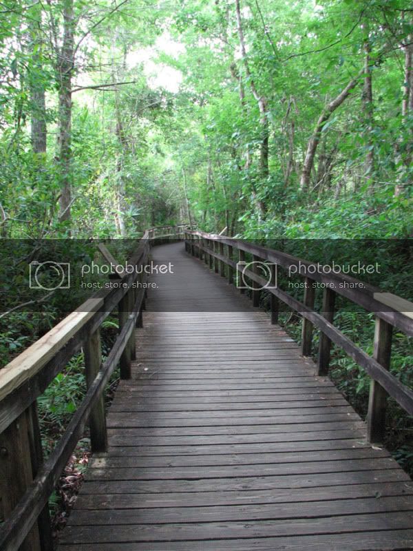 fakahatchee_trail.jpg