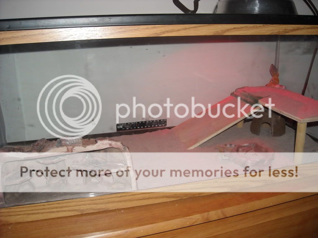 DSCN6861.jpg
