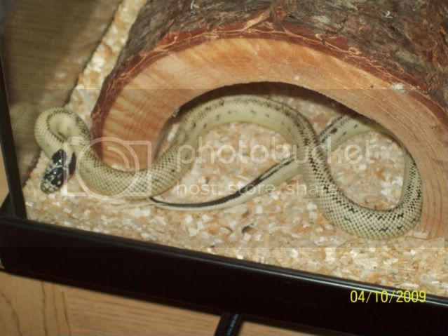 100_1597.jpg