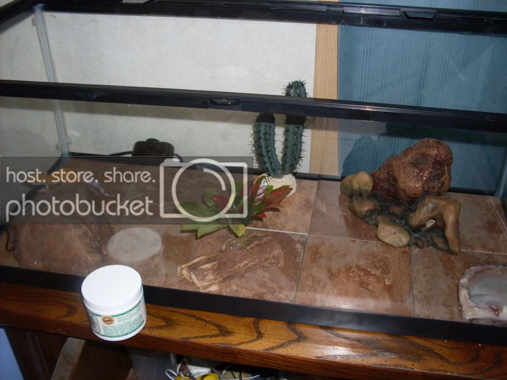 SDC10730.jpg