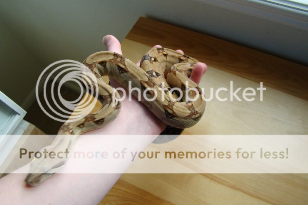 DSC09235.jpg