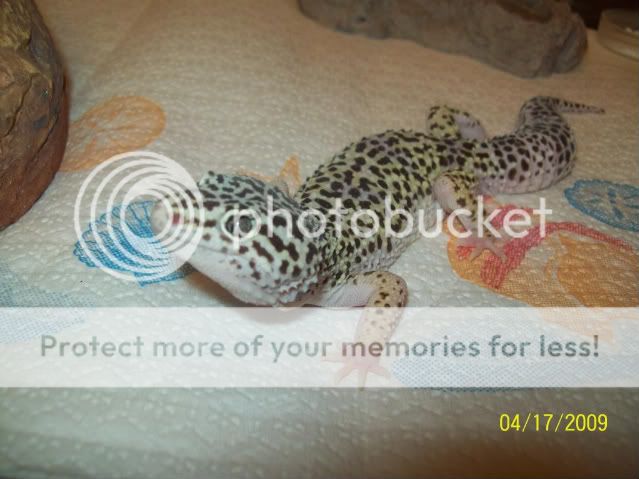 100_1673.jpg