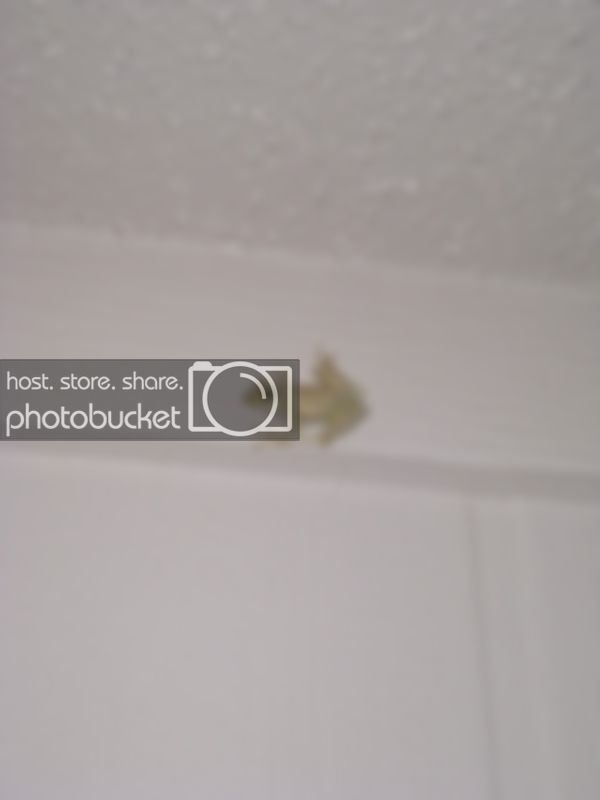 IMG_1620.jpg
