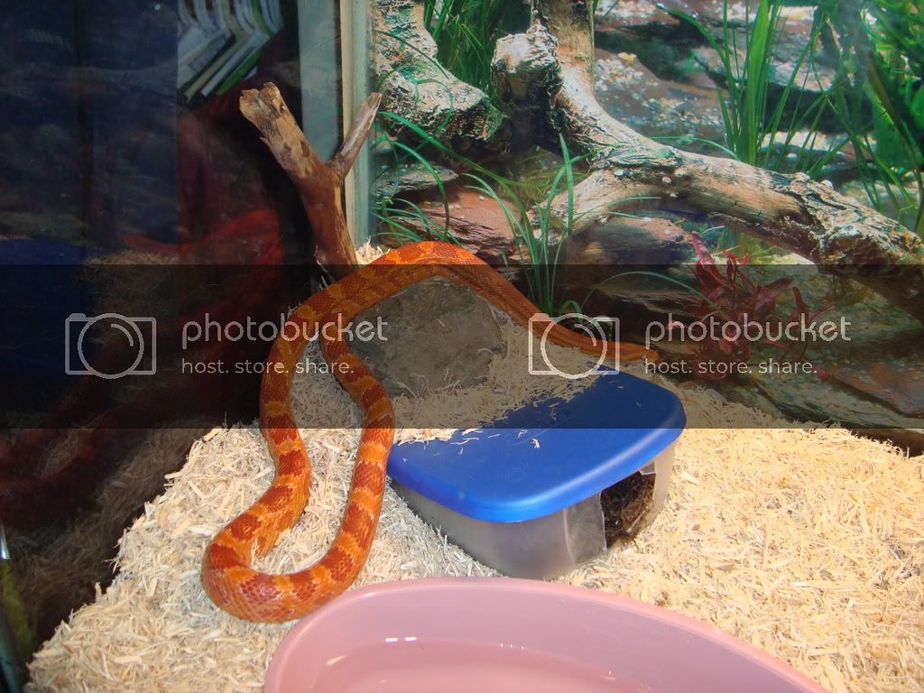 NewEnclosures067.jpg