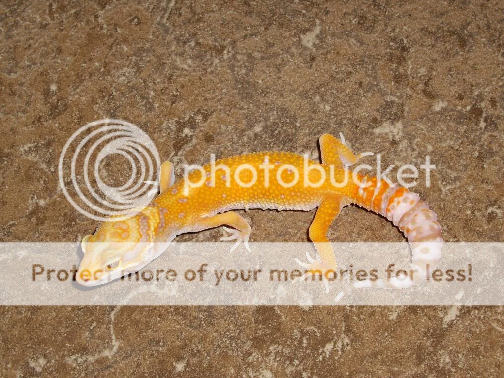 IMGP4770.jpg
