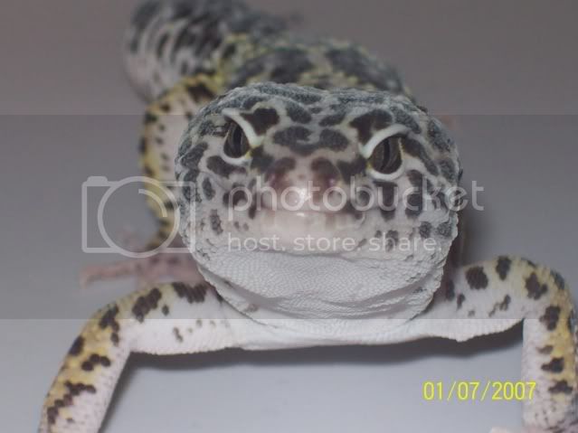 morepics010.jpg