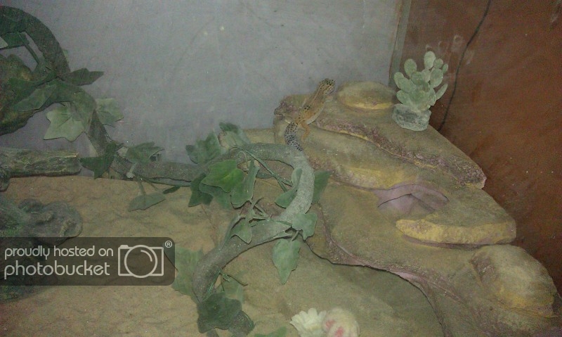 IMAG0107.jpg