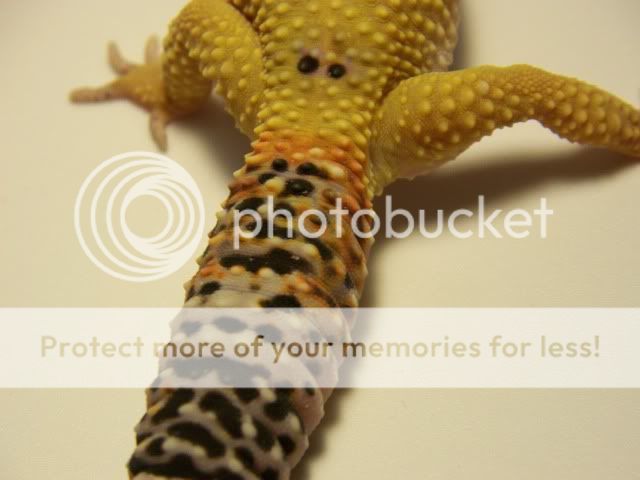 100_2067.jpg