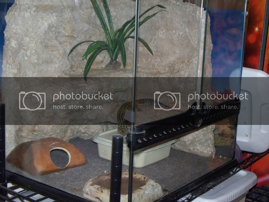 100_1067.jpg