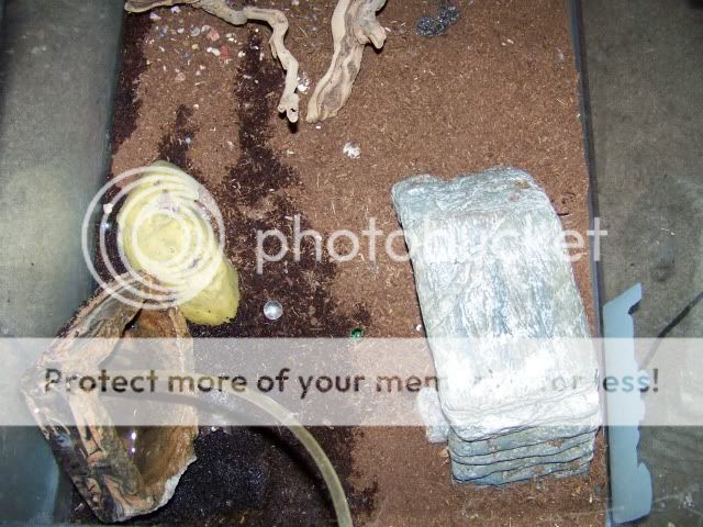 100_2495.jpg