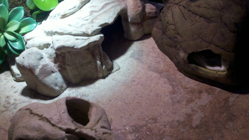 2012-11-25_08-57-58_205.jpg