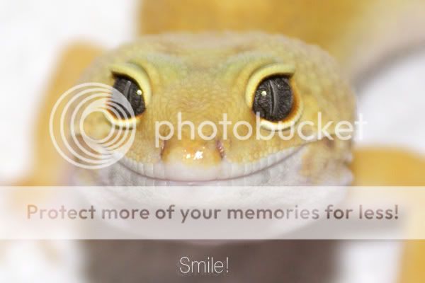 smile-1.jpg