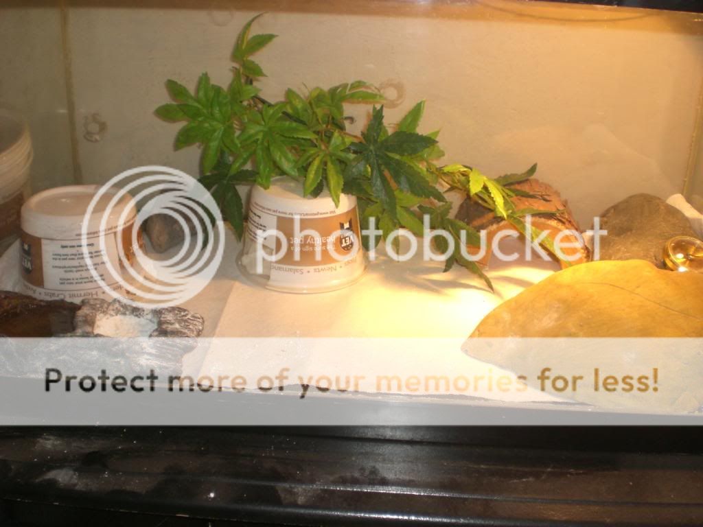 junepix031.jpg