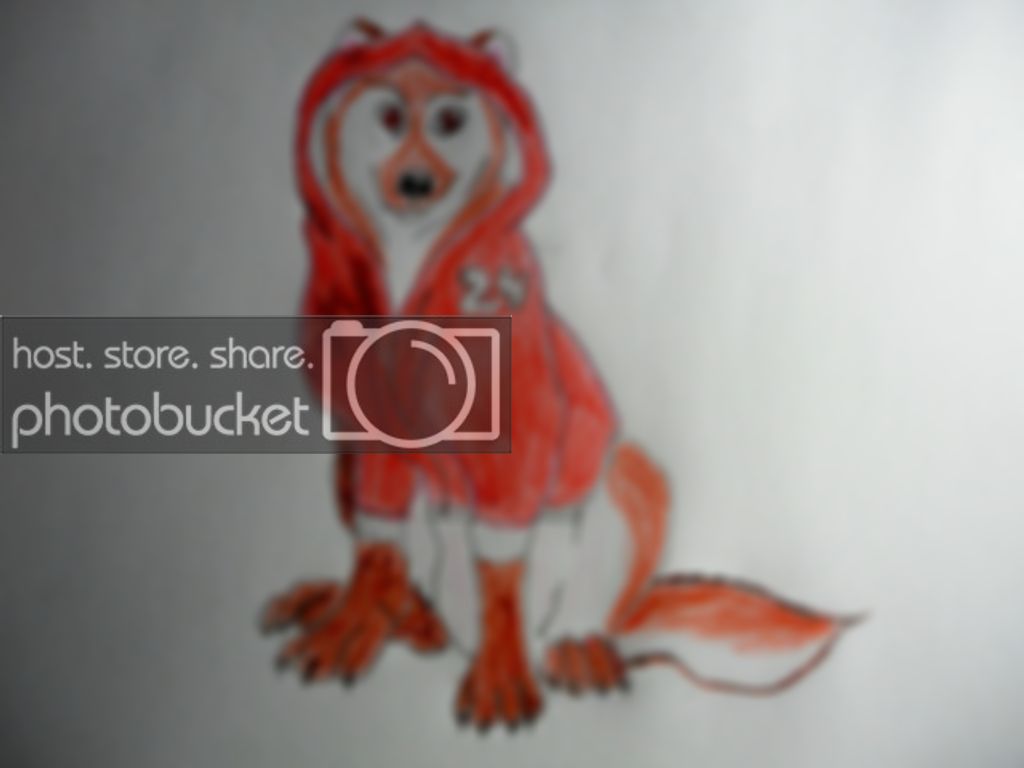 DSC01436.jpg