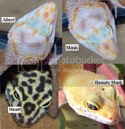 aheadmarks.jpg