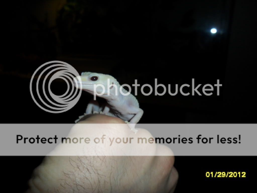 Picture878.jpg