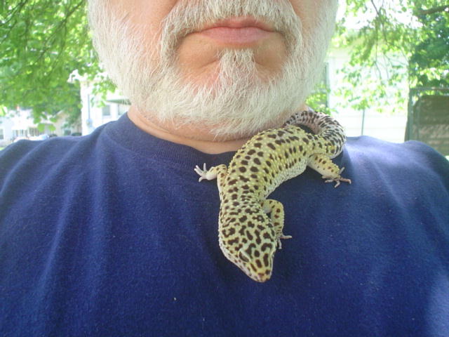 geckorider1.jpg