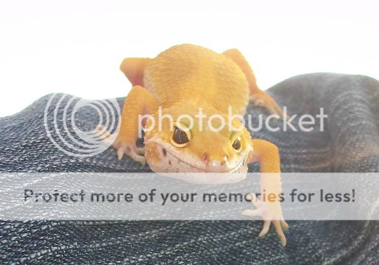 resize8.jpg