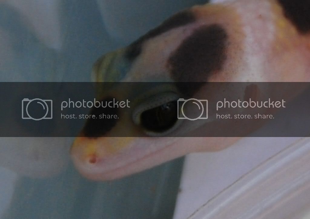 DSC_0631.jpg
