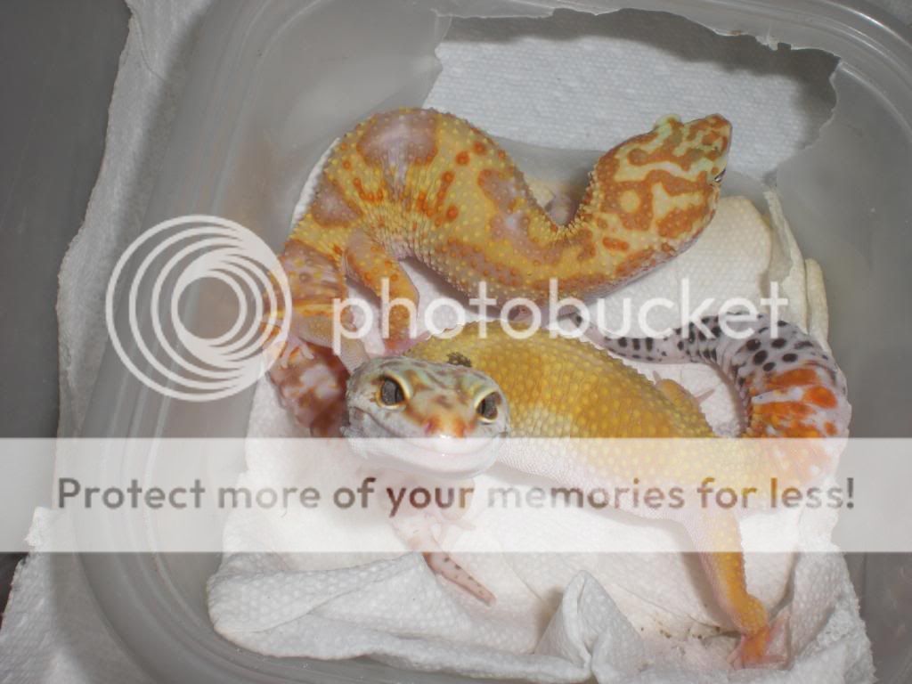 junepix042.jpg