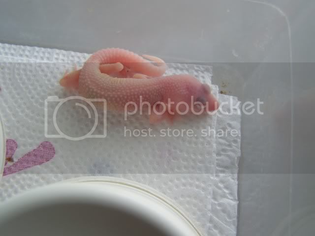100_4143.jpg