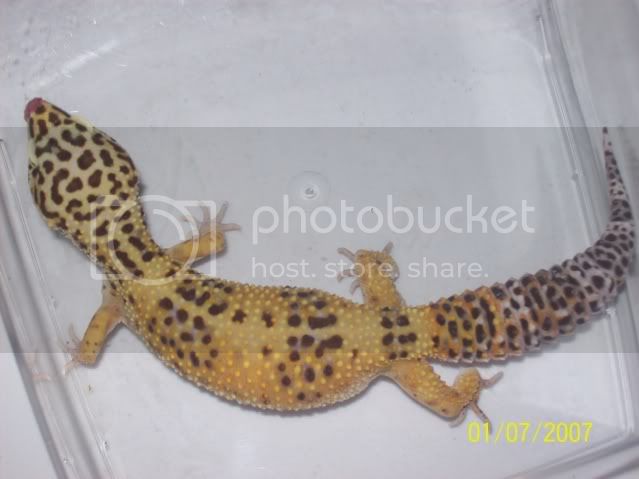 morepics012.jpg