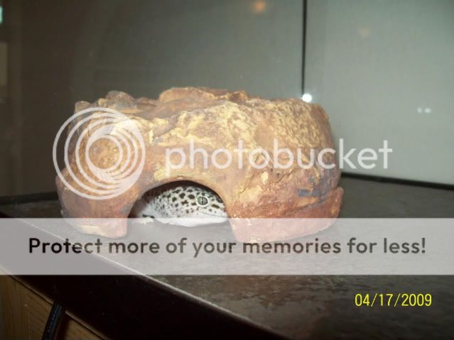 100_1682.jpg