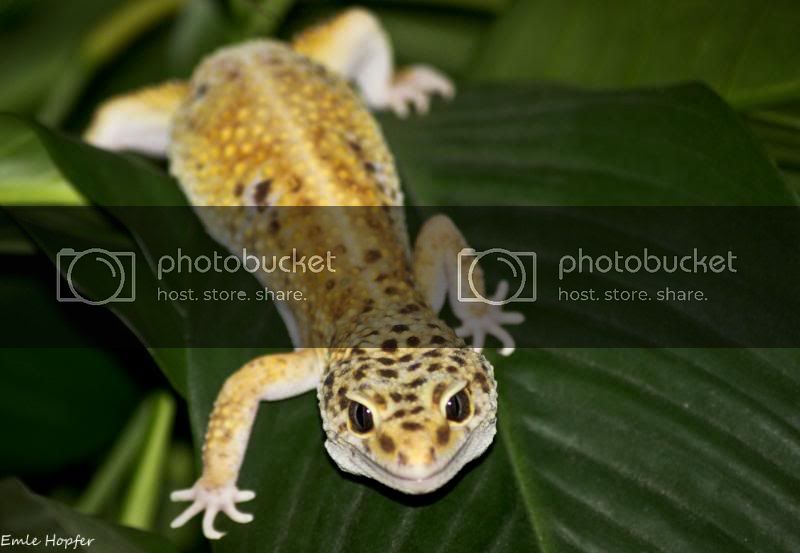 Animals11of23.jpg