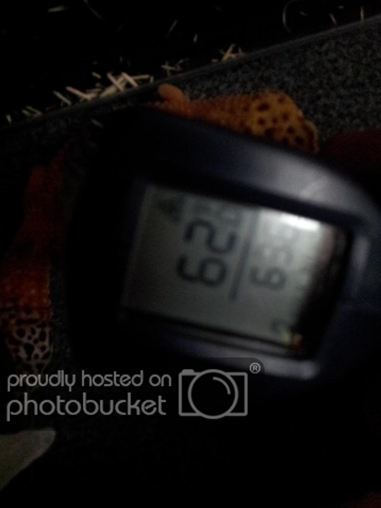 20121130_104117.jpg