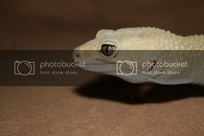 IMG_0917.jpg
