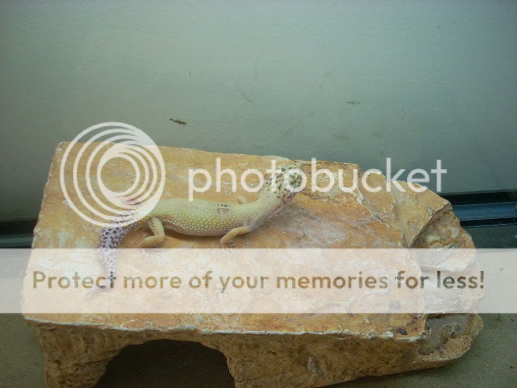 DSCN0119.jpg