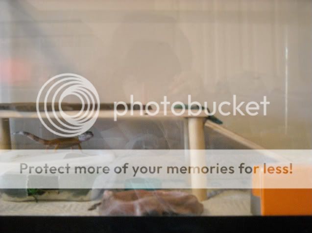 DSCN6870-1.jpg