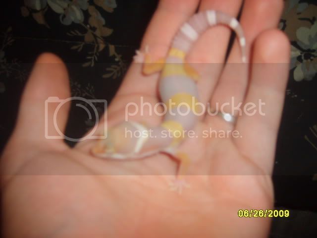 Picture698.jpg