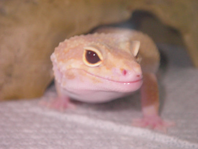 575633462_x3e3d-S.jpg