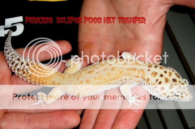 DSCF1261.jpg