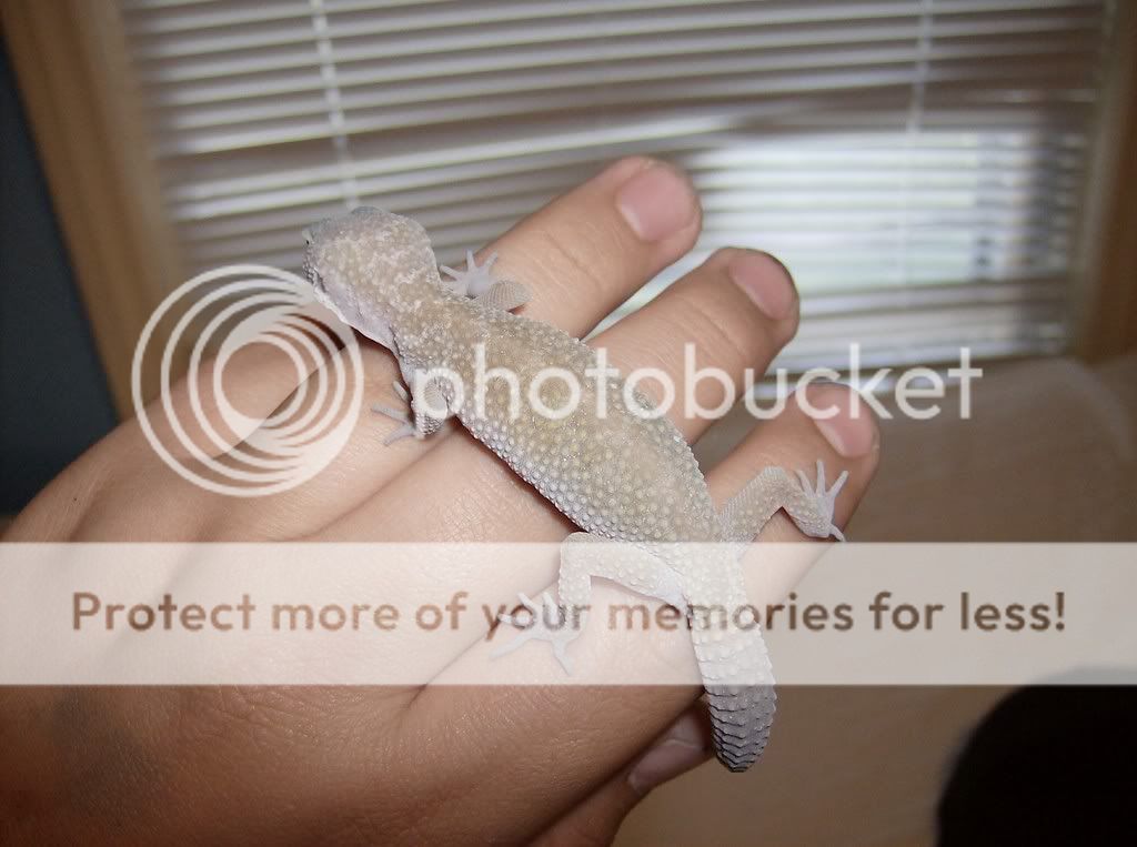 HPIM0916.jpg