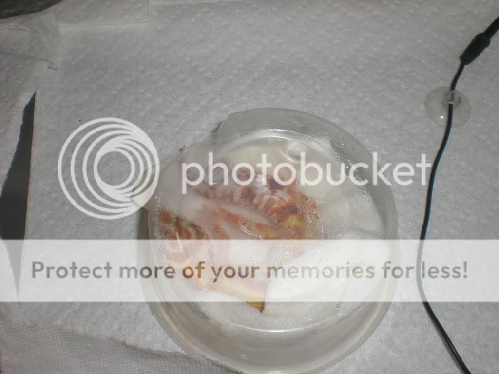 junepix035.jpg